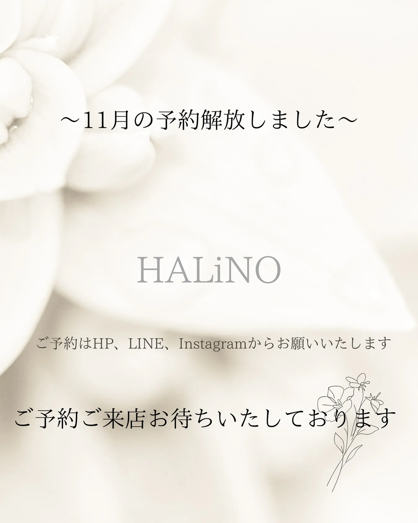 こんにちは☀️