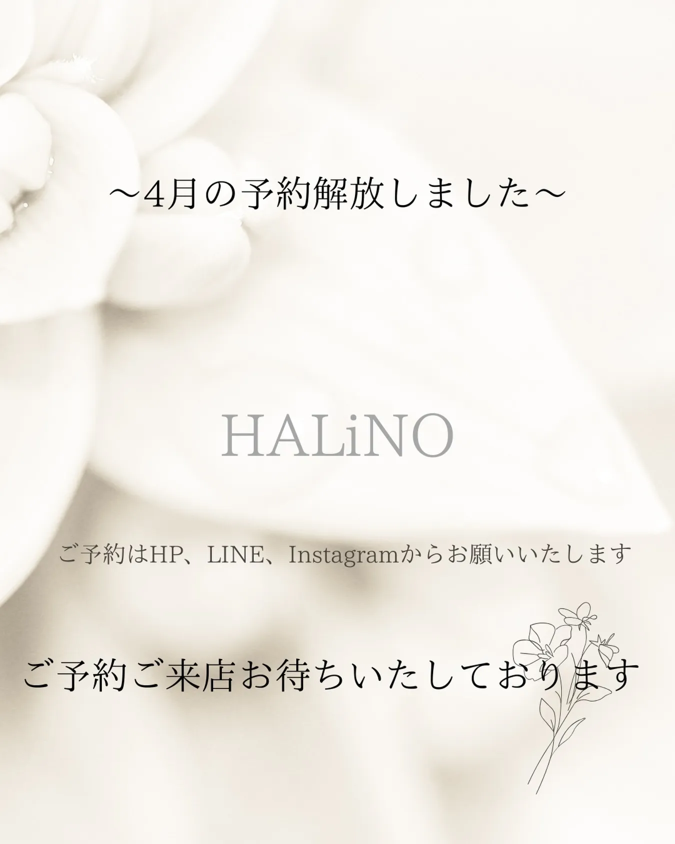 こんにちは☀️